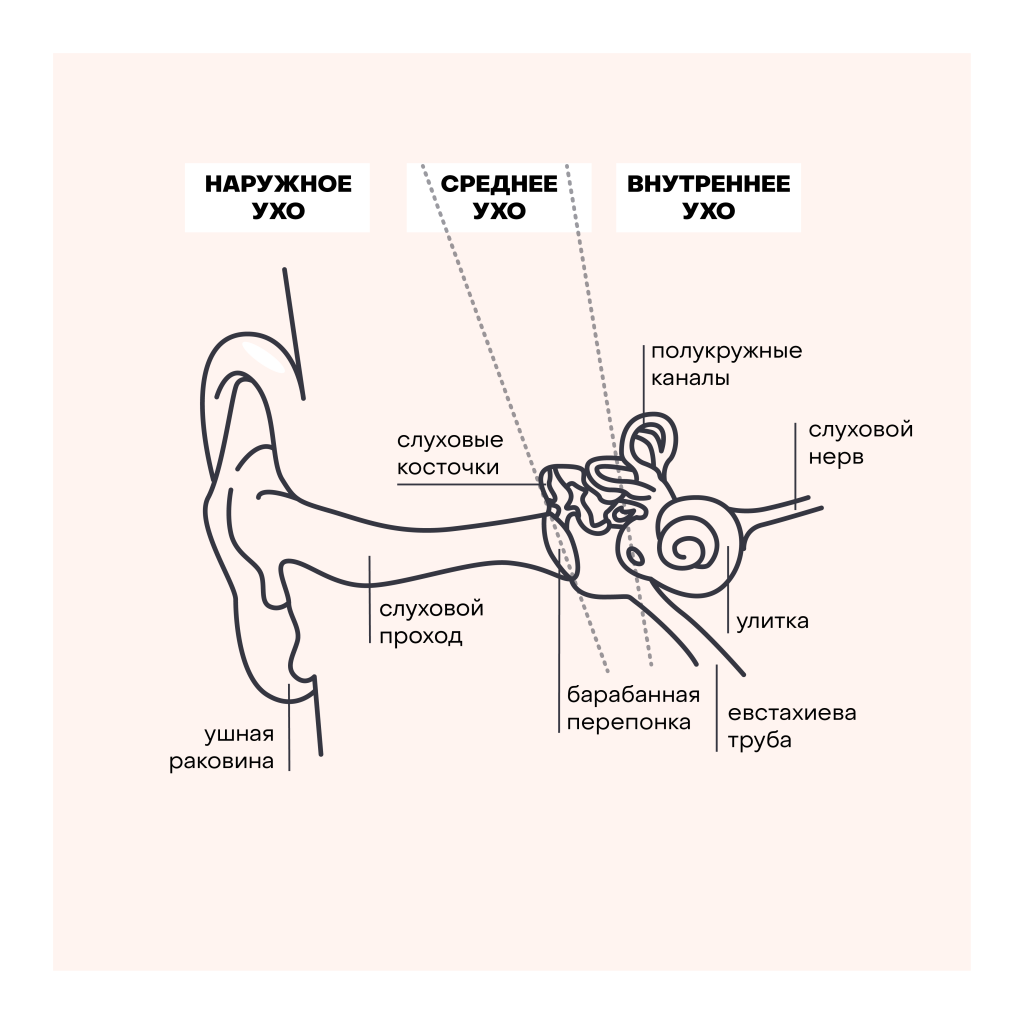 Внутреннее ухо человека расположено в кости. Строение среднего уха схема. Схема наружного среднего и внутреннего уха. Строение уха слуховые косточки. Строение уха внешнее среднее внутреннее.